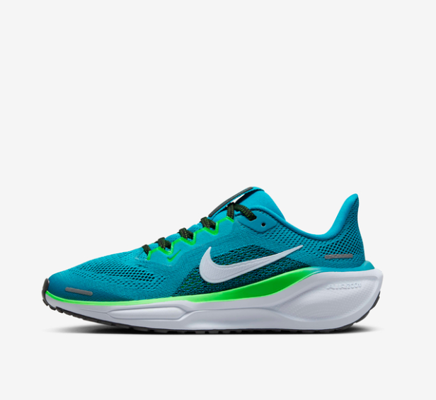 Air Zoom Pegasus